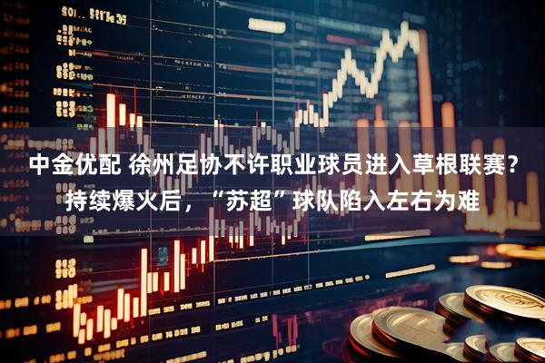 中金优配 徐州足协不许职业球员进入草根联赛？持续爆火后，“苏超”球队陷入左右为难