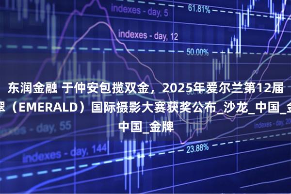 东润金融 于仲安包揽双金，2025年爱尔兰第12届翡翠（EMERALD）国际摄影大赛获奖公布_沙龙_中国_金牌